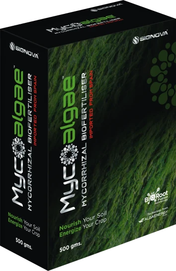 Mycoalgae product packaging