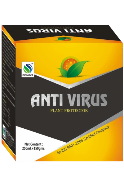 Anti Virus product packaging