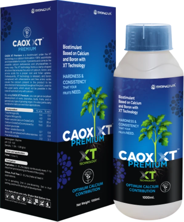 Coax XT Premium product packaging