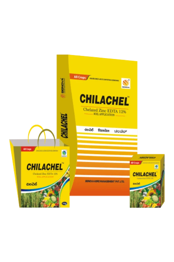 Chilachel product packaging