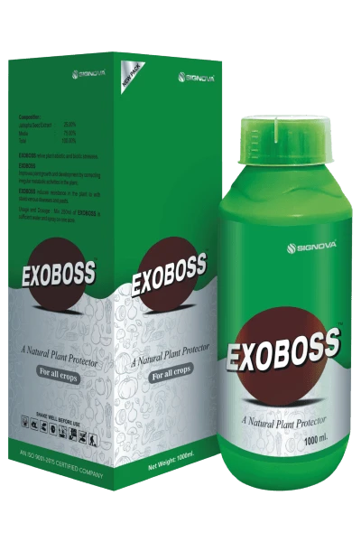 Exoboss product packaging