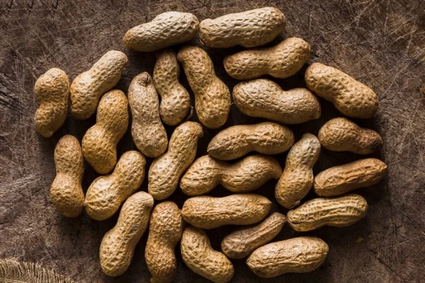 Groundnut