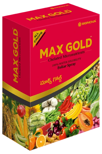 Max Gold product packaging