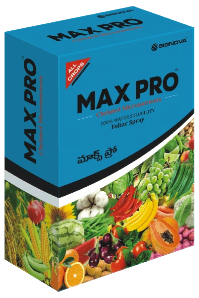 Max Pro product packaging