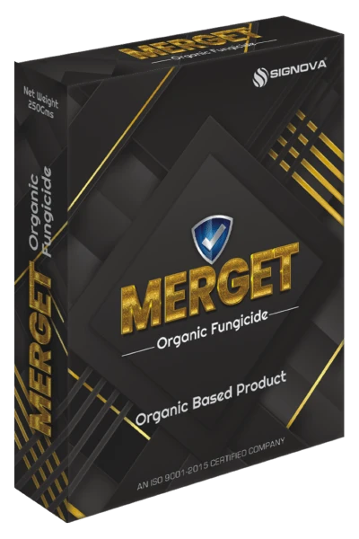 Merget product packaging