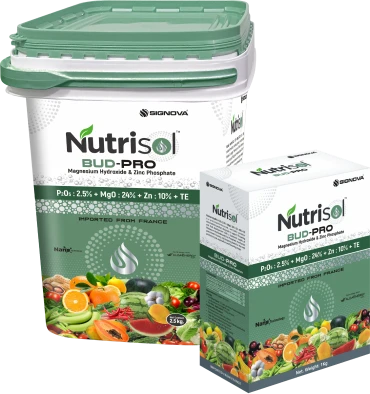 Nutrisol BUD-PRO (P₂O₅ – 2.5% | MgO – 24% | Zn – 10% + TE) product packaging