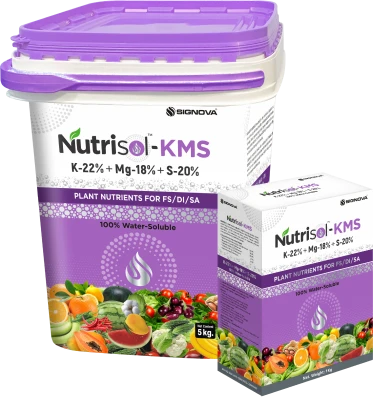 Nutrisol-KMS (K-22% + Mg-18% + S-20%) product packaging