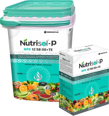 Nutrisol-P (NPK 12:58:00 + TE) product packaging