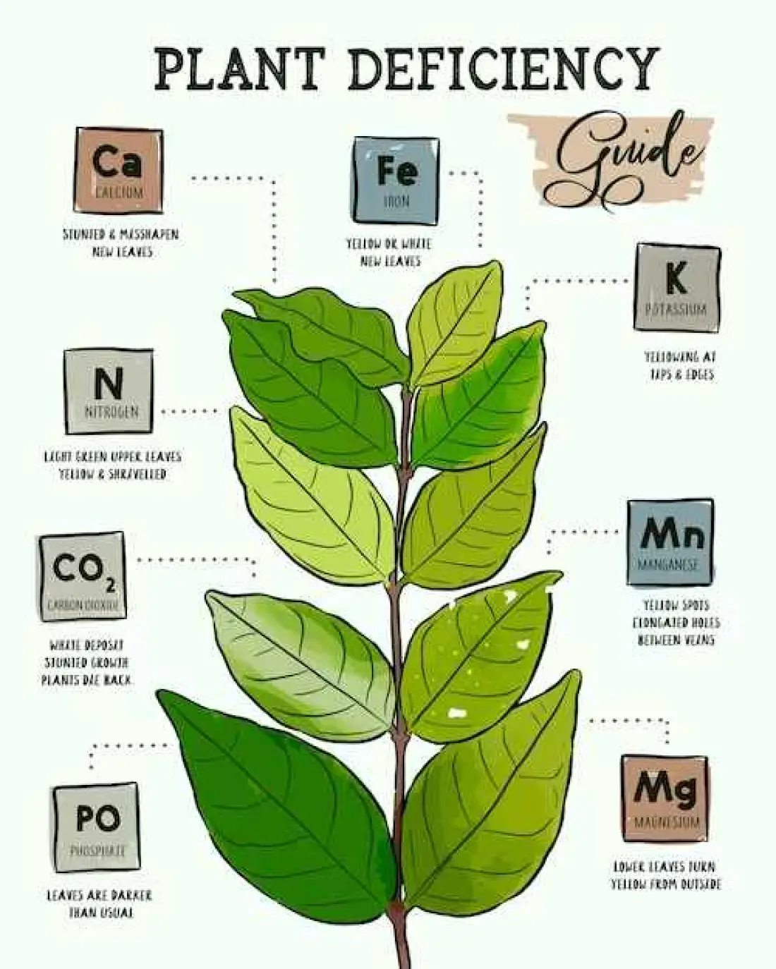 Deficiency