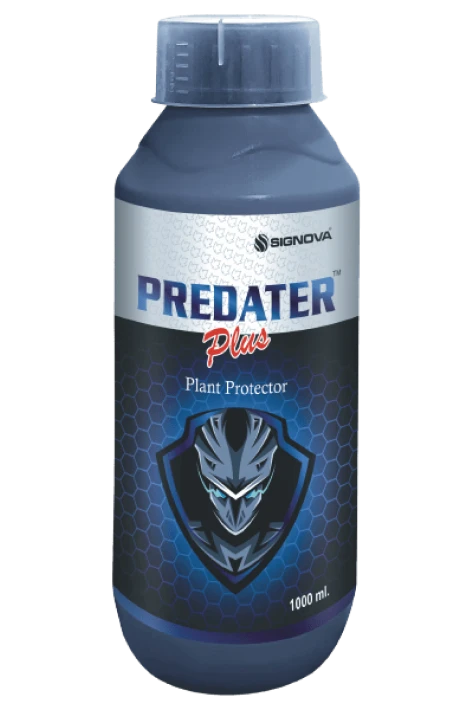 Predater Plus product packaging