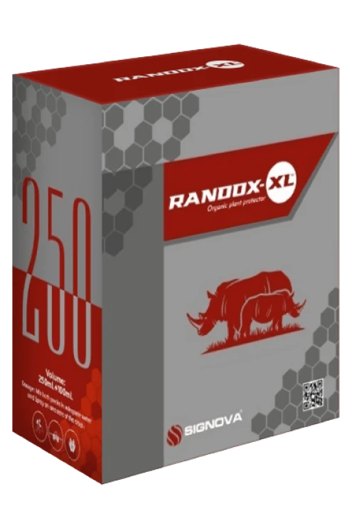 Randox XL product packaging