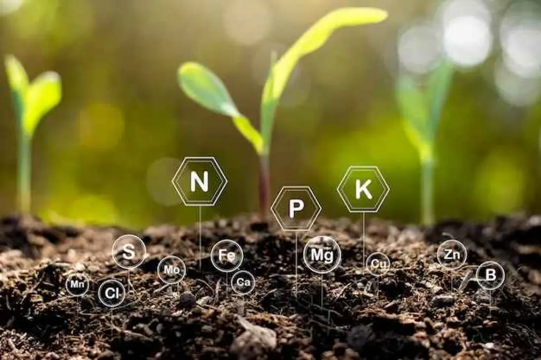 Micronutrients