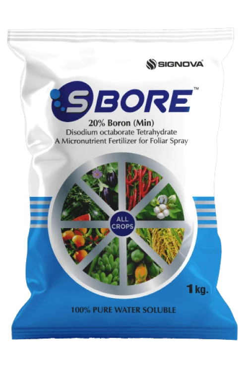S Bore product packaging