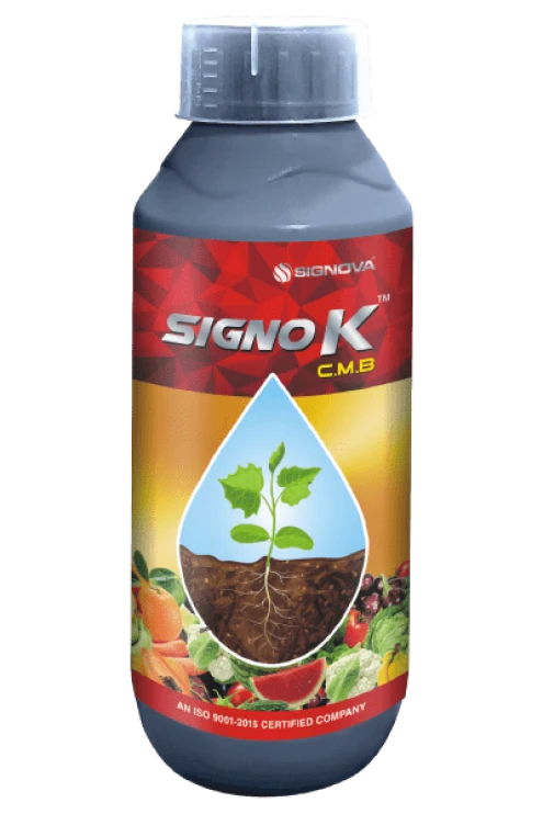 Signo K product packaging