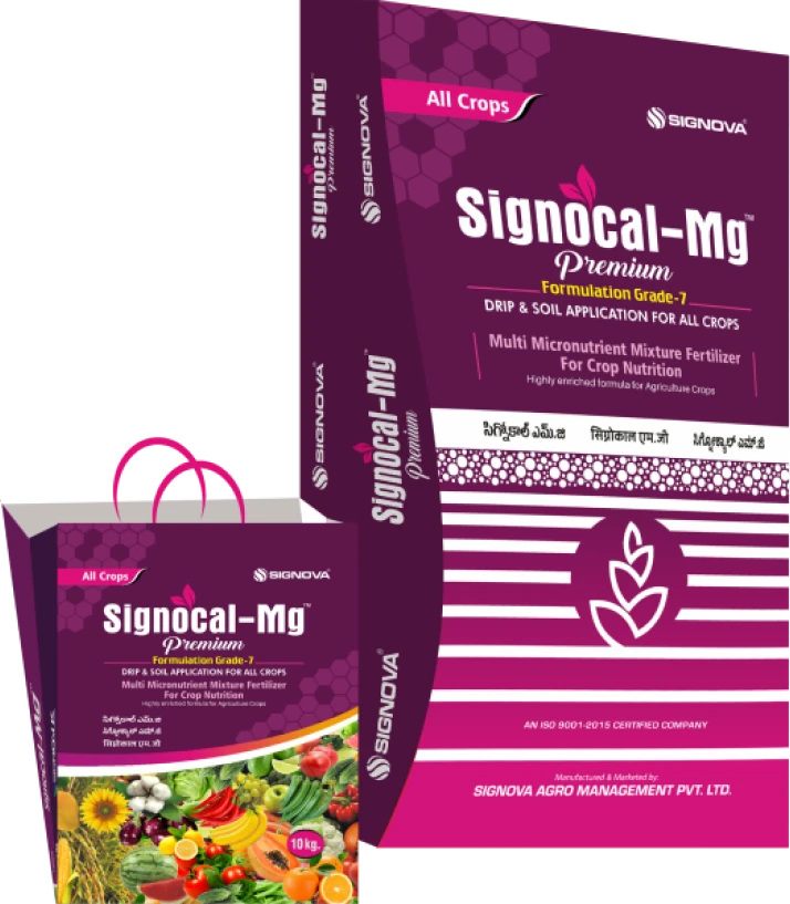 Signocal-Mg (Citrus Spl.) product packaging