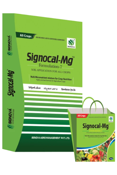 Signocal MG product packaging
