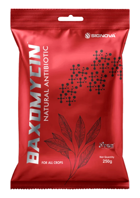 Baxomycin product packaging