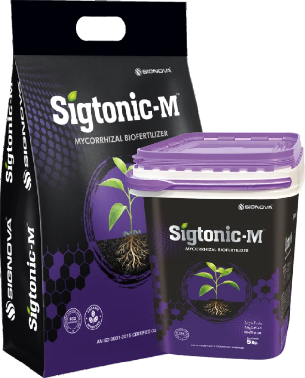 Sigtonic-m product packaging