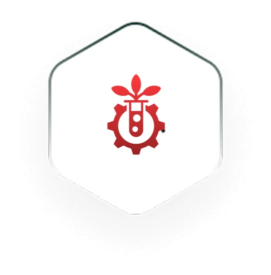 Process Development icon