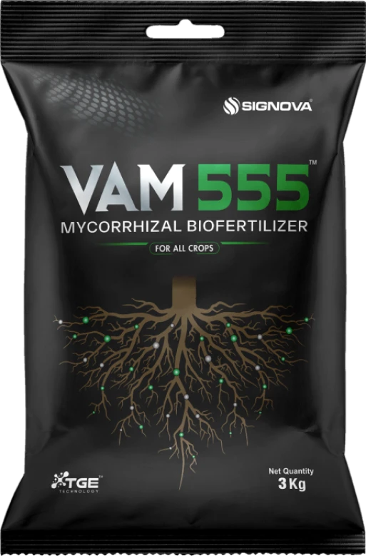 Vam 555 product packaging