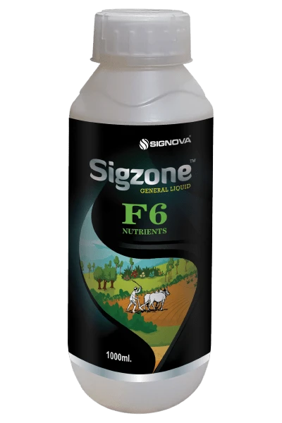 Sigzone product packaging