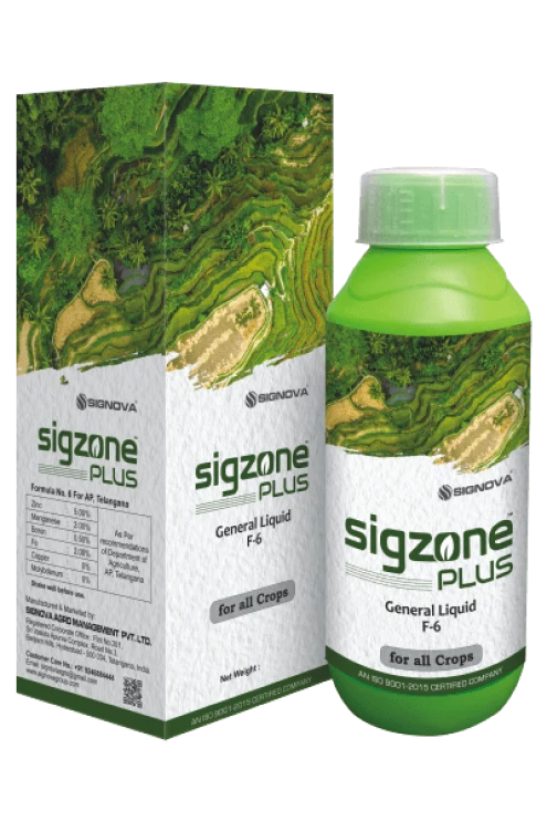 Sigzone Plus product packaging