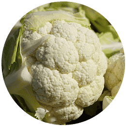 cauliflower signova
