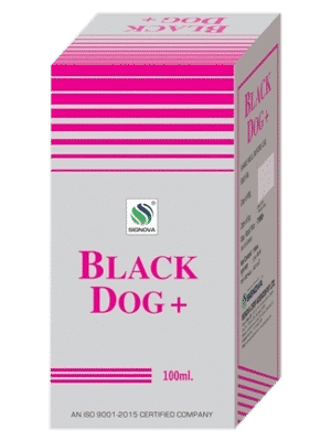 Black Dog Plus