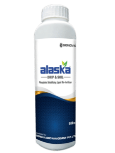 Alaska Drip & Soil