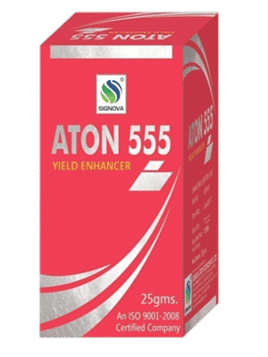 Aton 555