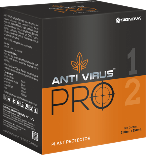 Anti Virus Pro