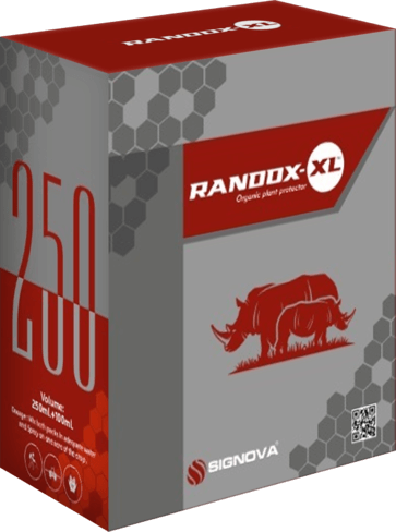 Randox-XL