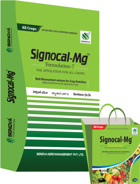 Signocal-Mg