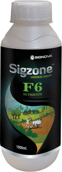 Sigzone-F6