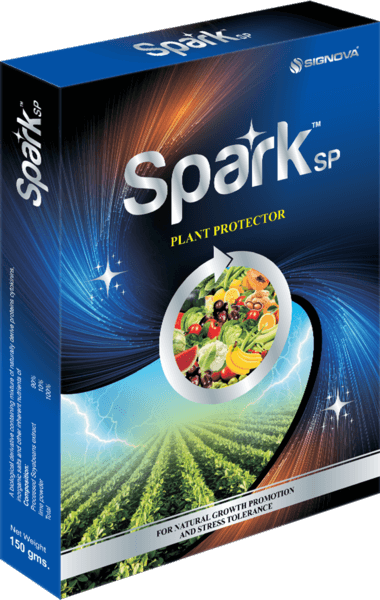 Spark SP