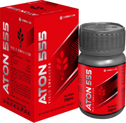 aton 555 product signova