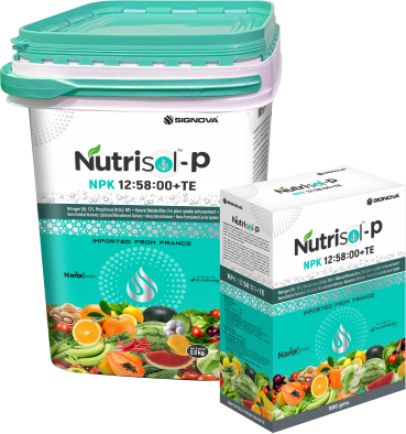 nutrisol p product signova